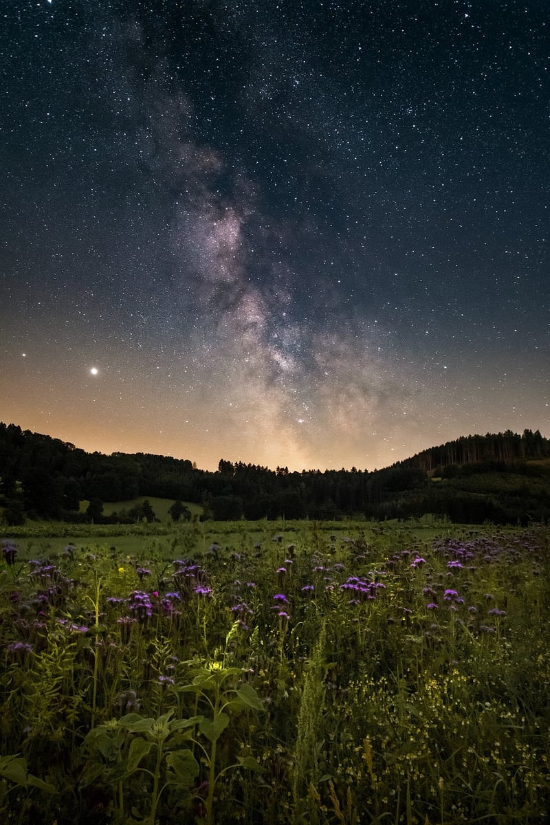 Galactic Soiree